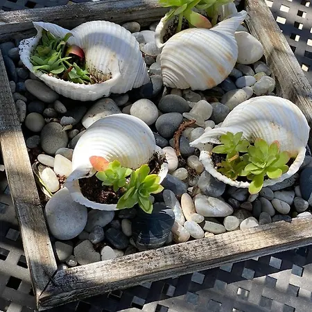 Apartamento Romeο House