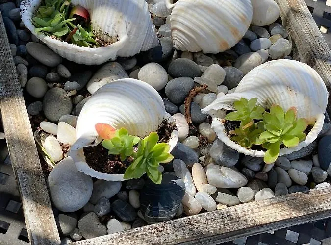 Apartmán Romeο House